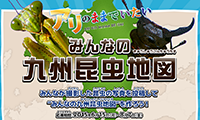 昆虫写真大募集！映画「アリのままでいたい」みんなで九州昆虫地図を作ろう!!