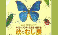 じっくり本物を見てみよう！「～アイランドシティ昆虫標本展示会～秋のむし展」9月19日(祝)～10月2日(日)開催！